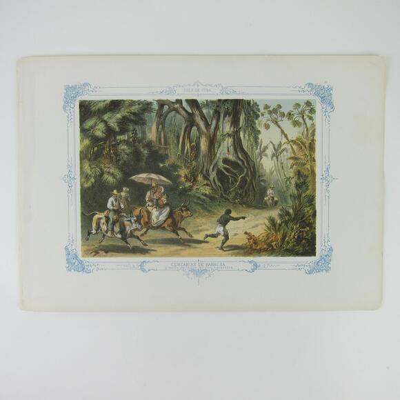 Federico Mialhe Chromolithograph Print Cuba Baracoa Travel on Bulls Antique 1855